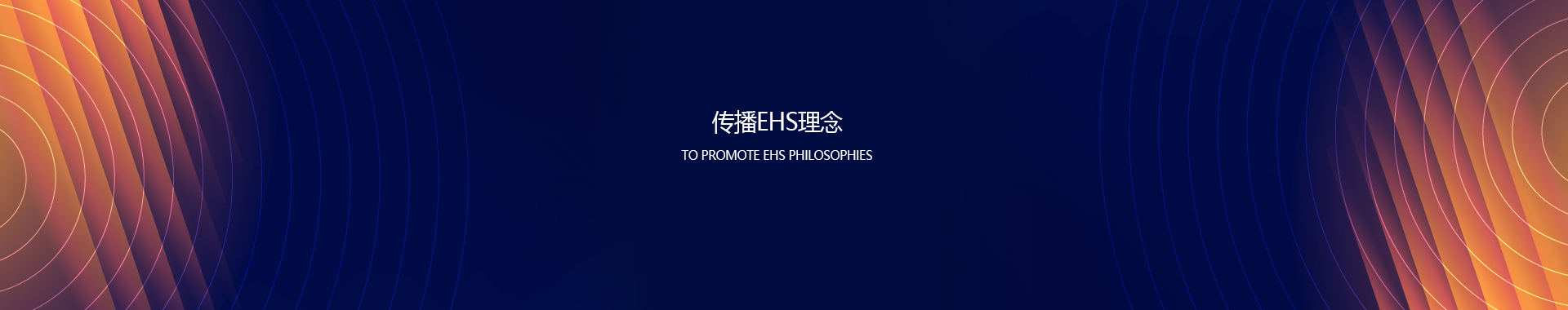 EHS咨询服务